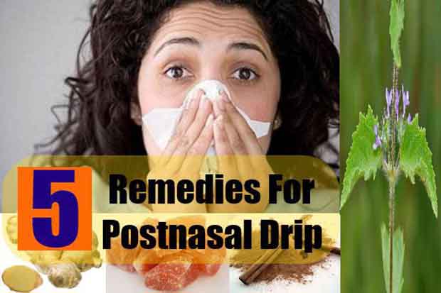 Best 5 Home Remedies For Postnasal Drip