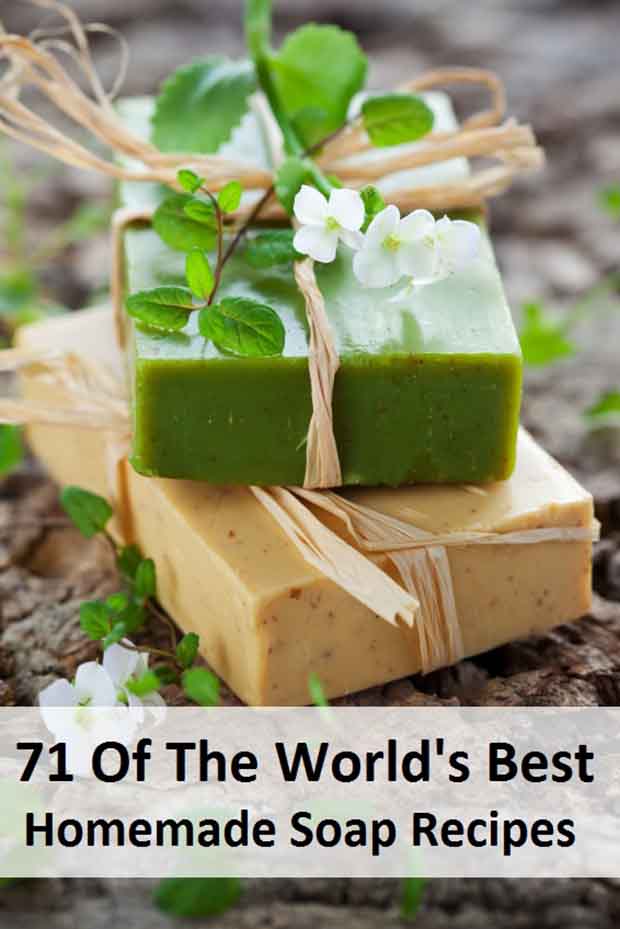 71 Of The World s Best Homemade Soap Recipes