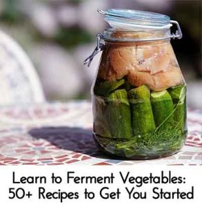 Learn To Ferment Vegetables: 50+ Recipes To Get You Started