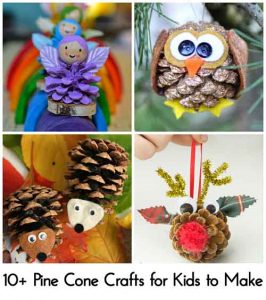 10+ Pine Cone Crafts for Kids to Make