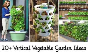 20+ Vertical Vegetable Garden Ideas