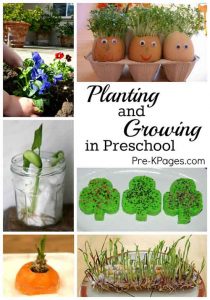 Science For Kids: Planting & Growing In Preschool